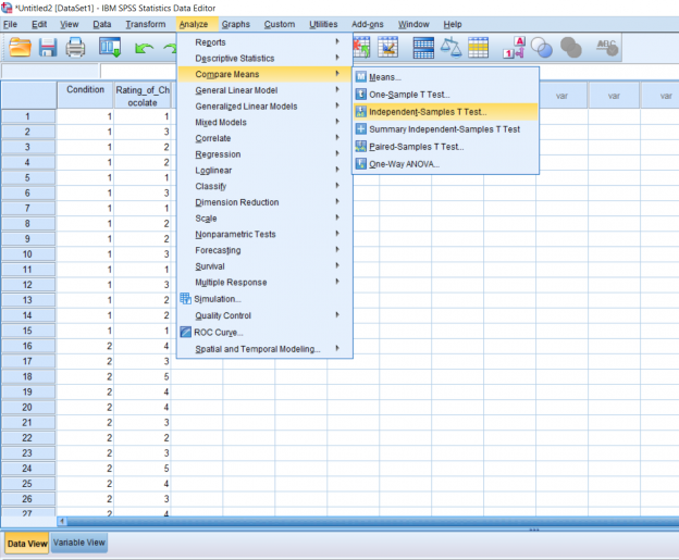 Screenshot of SPSS document
