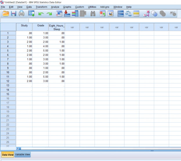 Screenshot of SPSS document
